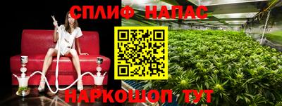 a pvp Лесосибирск