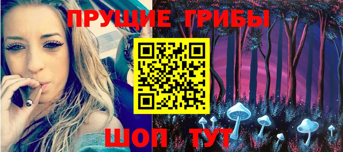 Псилоцибиновые грибы GOLDEN TEACHER Грязи