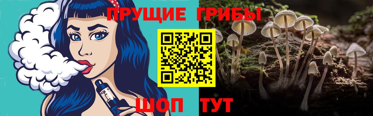 Галлюциногенные грибы MAGIC MUSHROOMS  Вход с VPN  Грязи 